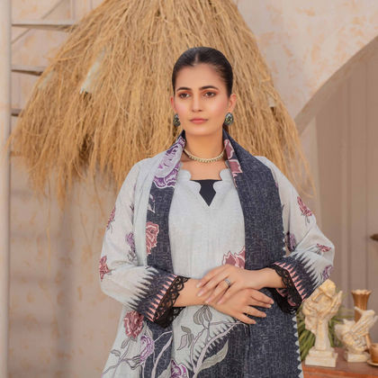 Suit, Original Binti-E-Naaz, Printed Lawn & 3 Piece, for Women’s Wear