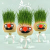 DIY Grass Head Doll Growing Kit, Fun & Educational Plant Toy