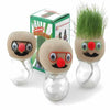 DIY Grass Head Doll Growing Kit, Fun & Educational Plant Toy