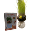 DIY Grass Head Doll Growing Kit, Fun & Educational Plant Toy