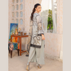 Suit, Original Bint-E-Naaz, Unique Patterns & Summer 2024, for Women