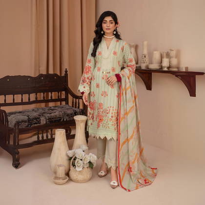 Suit, Reet Rang, Intricate Embroidery & Chiffon Dupatta, for Women