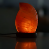 Himalayan Luminous Leaf Lamp