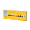 Winsor & Newton Galeria Acrylic Paints 10x60ml Tube Set