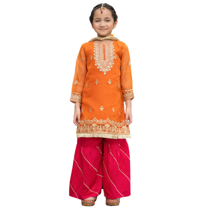 Net & Malai Suit, Embroidered Front & Fancy Chunn Dupatta, for Kids'