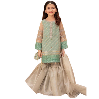 Net-3Pc, Elegant & Traditional Attire, for Kids'