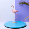 Flamingo One Leg Decor