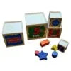 Wooden Wisdom Sorter Shape Blocks 5Pcs Set