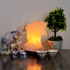 The Dancing Dolphin Lamp