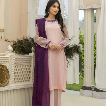 Suit, Light Pink Organza With Organza Dupatta, for Women