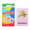 Flash Cards, Montessori Learning English Words & Pocket, 36-Piece Set