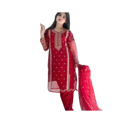 Unstitched Suit, 3-Piece Embroidered Organza Suit with Handwork & Lace Dupatta