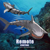 Swimming Shark, Coolest R/C Realistic & Endless Fun, for Kids'