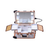 Rose Gold White LED Makeup Station, Vanity Features & Mobility