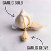 Garlic Extract Supplements, for Improved Circulation & Immune Support